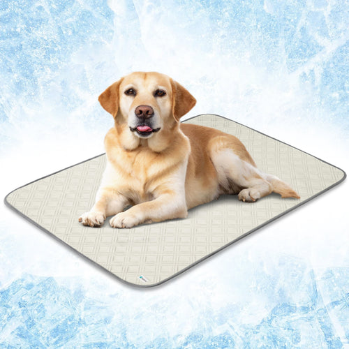 Waterproof Cooling Mat for Dog, Premium Pet Cooling Blanket for Bed Crate, anti Slip Indoor Dog Cool Pad for Sleeping, Q-MAX Large Sofa Couch Cover Mat for Cat, Beige, 40X60